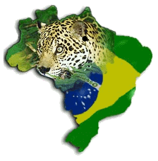mapa Brasil